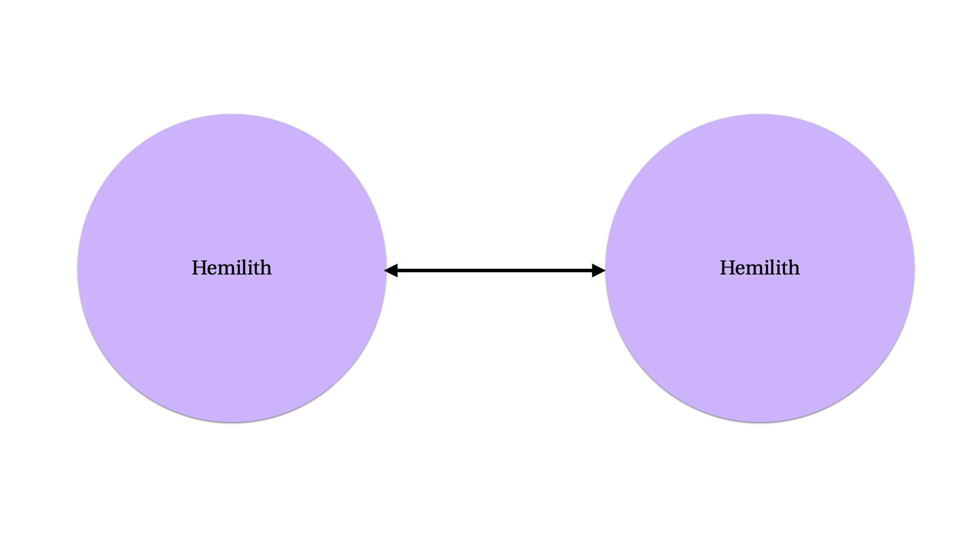 two circles with the word “hemilith” on them and a double-headed arrow
between them