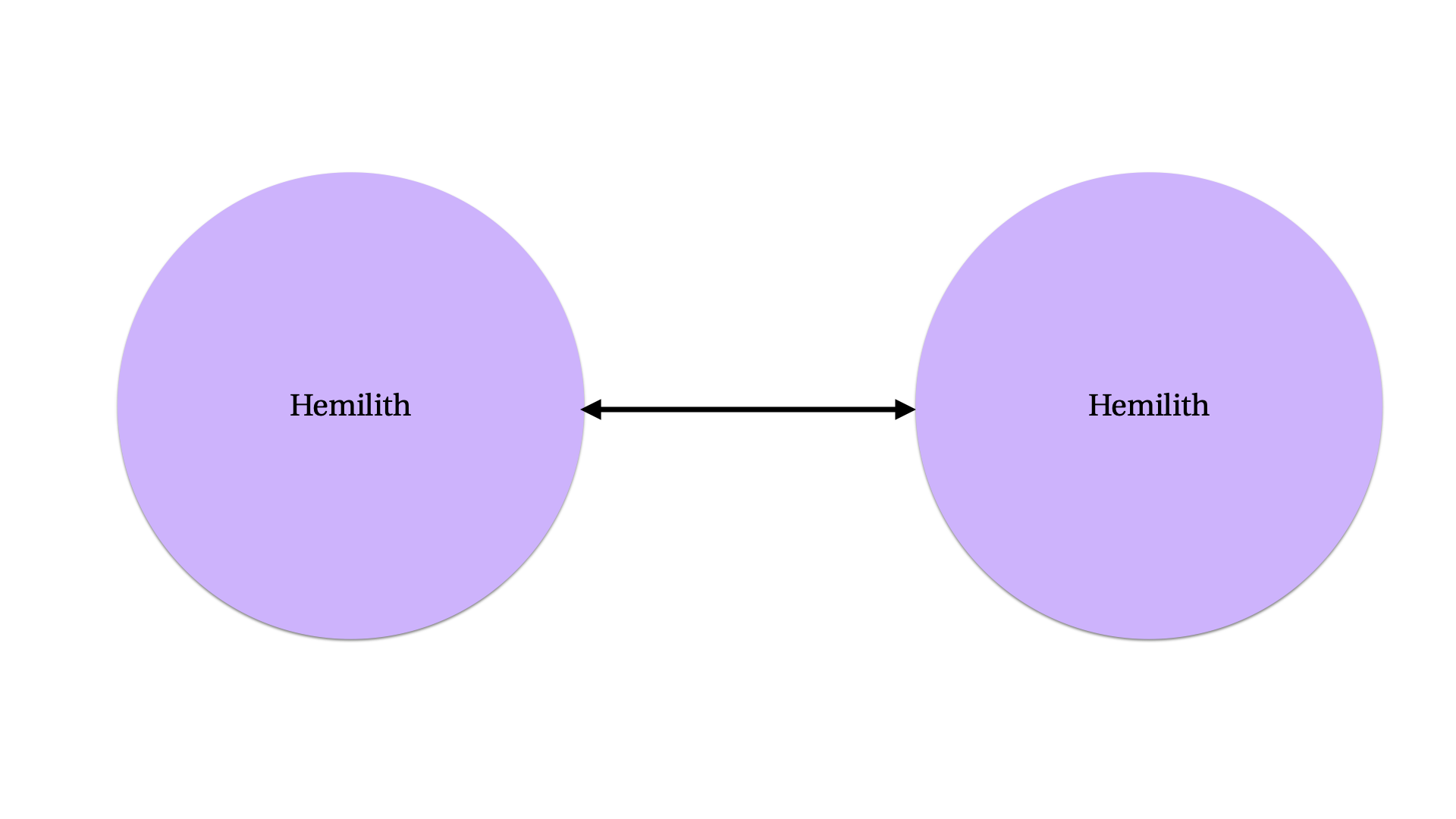 two circles with the word “hemilith” on them and a double-headed arrow between them